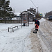 Первый сильный снегопад в Ленобласти
