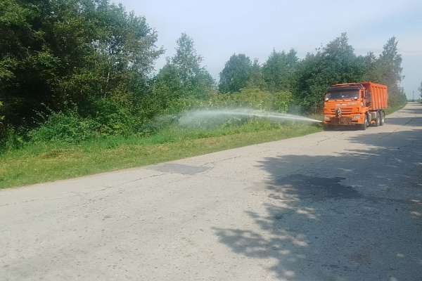 Устранение борщевика вдоль дорог