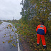 Убираем с проезжей части поваленные ветром деревья