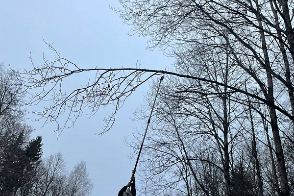 Работы по устранению упавших деревьев